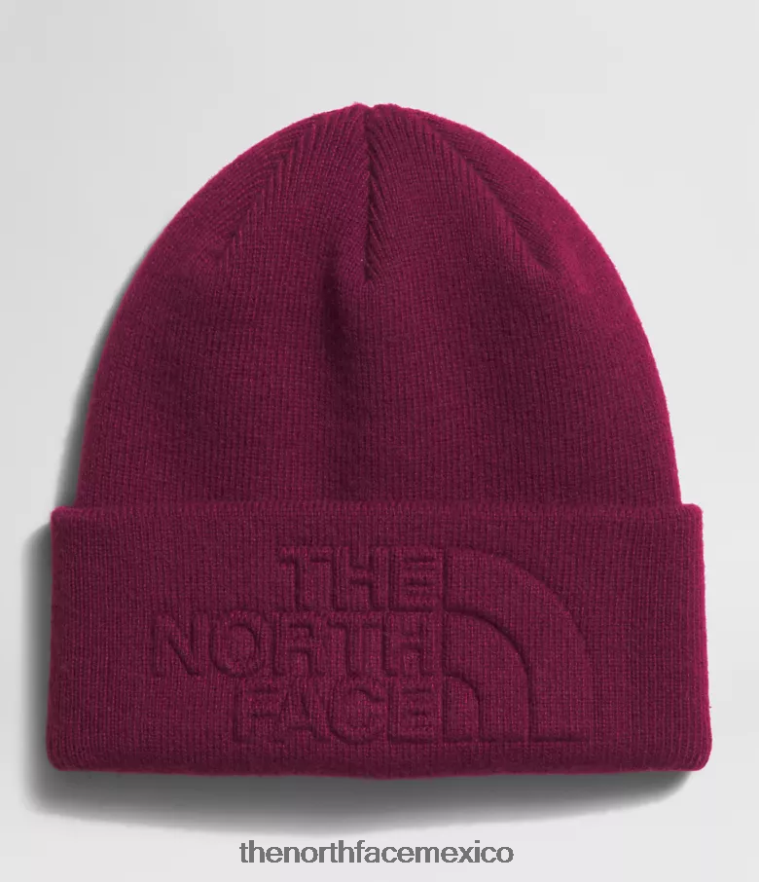 The North Face accesorio NFHLJL1140 arándano unisexo gorro urbano con relieve - Image 1