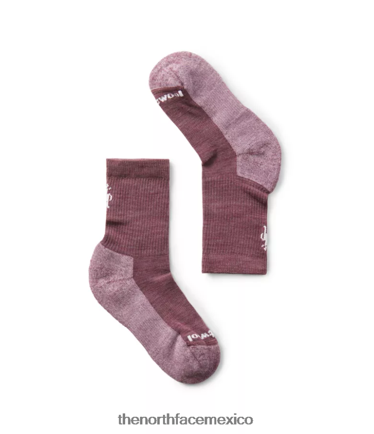 The North Face accesorio NFHLJL343 argyle púrpura niños calcetines con amortiguación ligera - Image 1