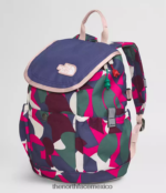 The North Face accesorio NFHLJL397 señor. estampado abstracto grande rosa/azul cueva niños mochila mini explorador juvenil - Image 3