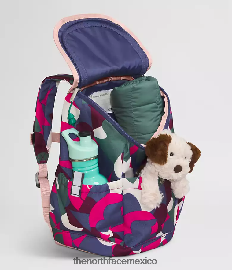 The North Face accesorio NFHLJL397 señor. estampado abstracto grande rosa/azul cueva niños mochila mini explorador juvenil - Image 4