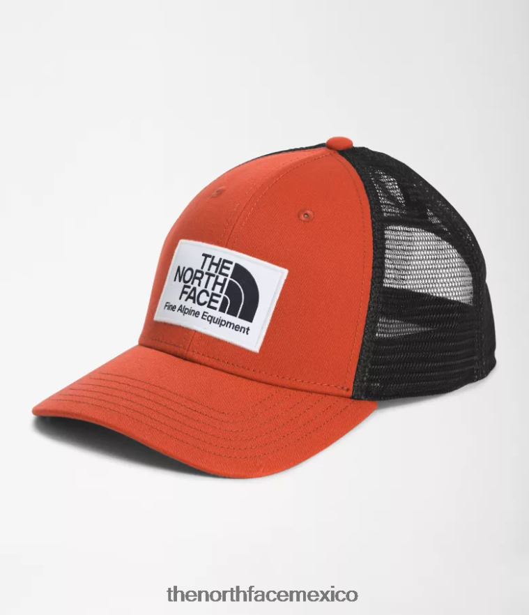 The North Face accesorio NFHLJL722 bronce oxidado unisexo gorra trucker mudder de ajuste profundo - Image 1