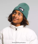 The North Face accesorio NFHLJL763 sabio oscuro niños gorro con puños y logo de tnf - Image 2