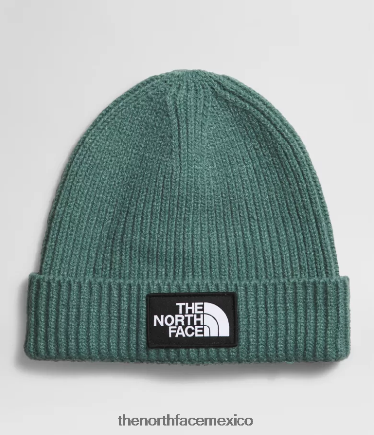 The North Face accesorio NFHLJL763 sabio oscuro niños gorro con puños y logo de tnf - Image 1
