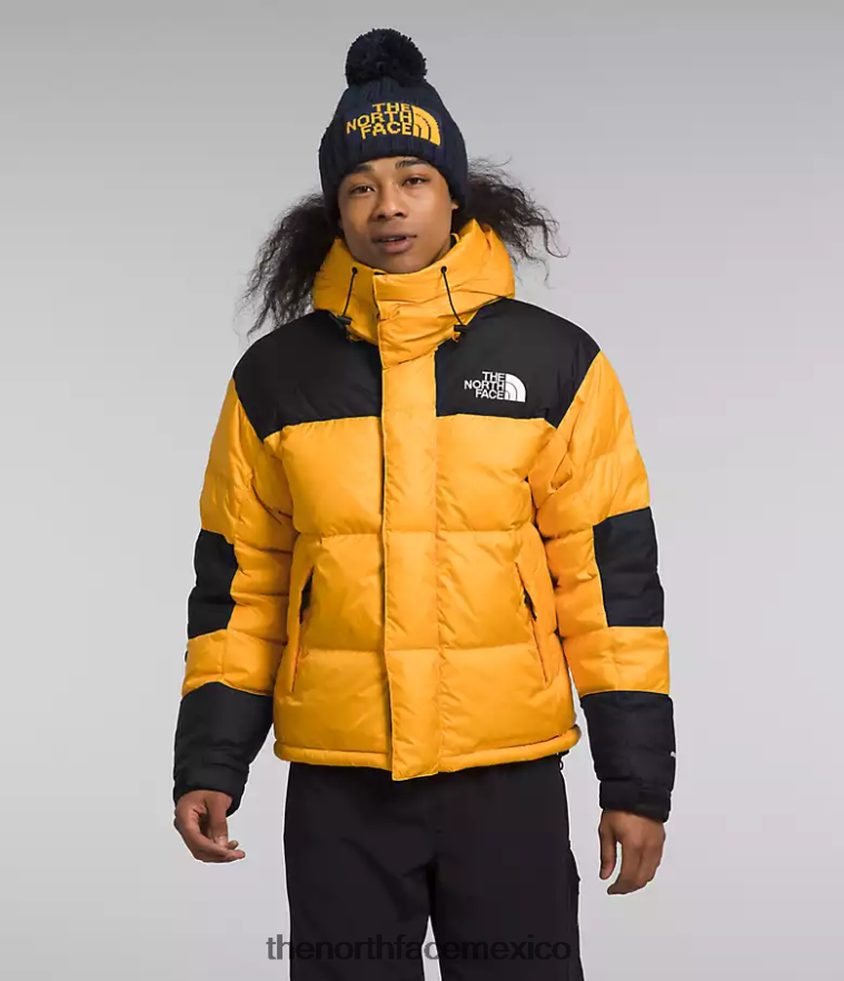 The North Face ropa NFHLJL1004 cumbre oro/tnf negro hombres chaqueta hmlyn baltoro - Image 2