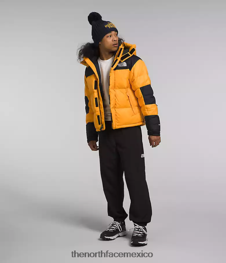 The North Face ropa NFHLJL1004 cumbre oro/tnf negro hombres chaqueta hmlyn baltoro - Image 3