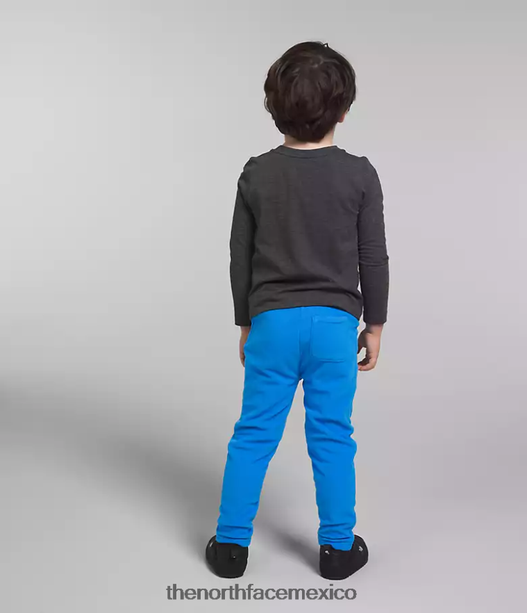 The North Face ropa NFHLJL1064 azul optico niños pantalones glaciares - Image 3