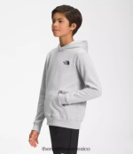 The North Face ropa NFHLJL1102 tnf gris claro jaspeado niños sudadera con capucha de lana de campamento - Image 3