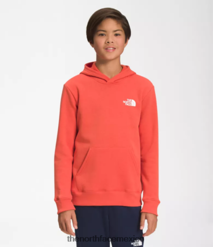 The North Face ropa NFHLJL1105 naranja retra niños sudadera con capucha de lana de campamento