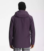 The North Face ropa NFHLJL115 berenjena oscura violeta hombres chaqueta de línea de enfermedad - Image 3