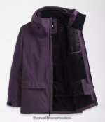 The North Face ropa NFHLJL115 berenjena oscura violeta hombres chaqueta de línea de enfermedad - Image 5