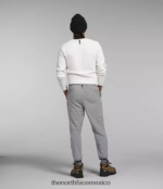 The North Face ropa NFHLJL1162 fusionar gris hombres pantalones de zancada ligera - Image 2
