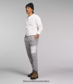 The North Face ropa NFHLJL1162 fusionar gris hombres pantalones de zancada ligera - Image 3