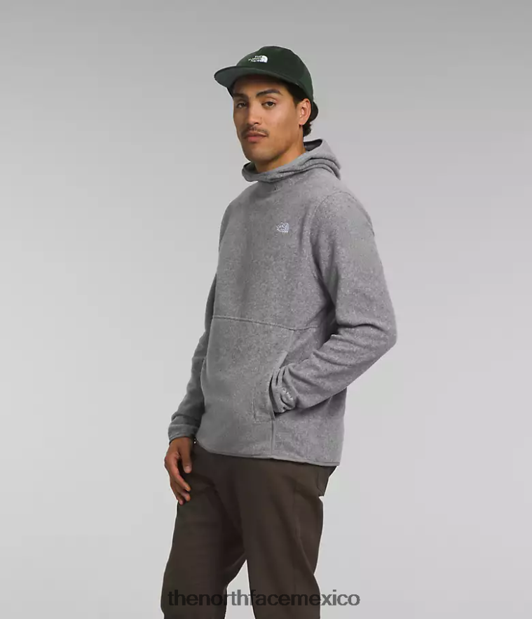 The North Face ropa NFHLJL117 tnf gris medio jaspeado hombres jersey alpino polartec 100 - Image 2