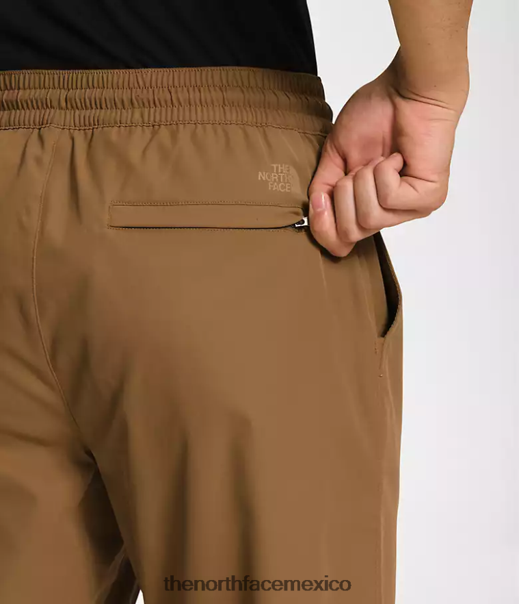 The North Face ropa NFHLJL1215 marrón utilitario hombres pantalones cónicos estándar - Image 4