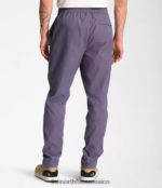 The North Face ropa NFHLJL1216 pizarra lunar hombres pantalones cónicos estándar - Image 2