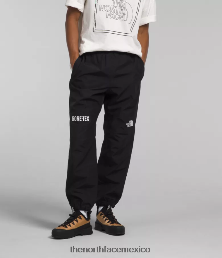 The North Face ropa NFHLJL1298 negro hombres pantalon montaña gtx - Image 1