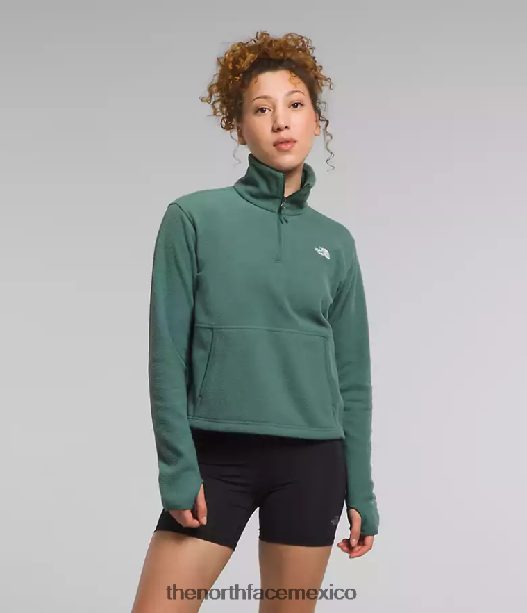 The North Face ropa NFHLJL157 sabio oscuro mujer Alpine Polartec 100 - capucha con cremallera - Image 2