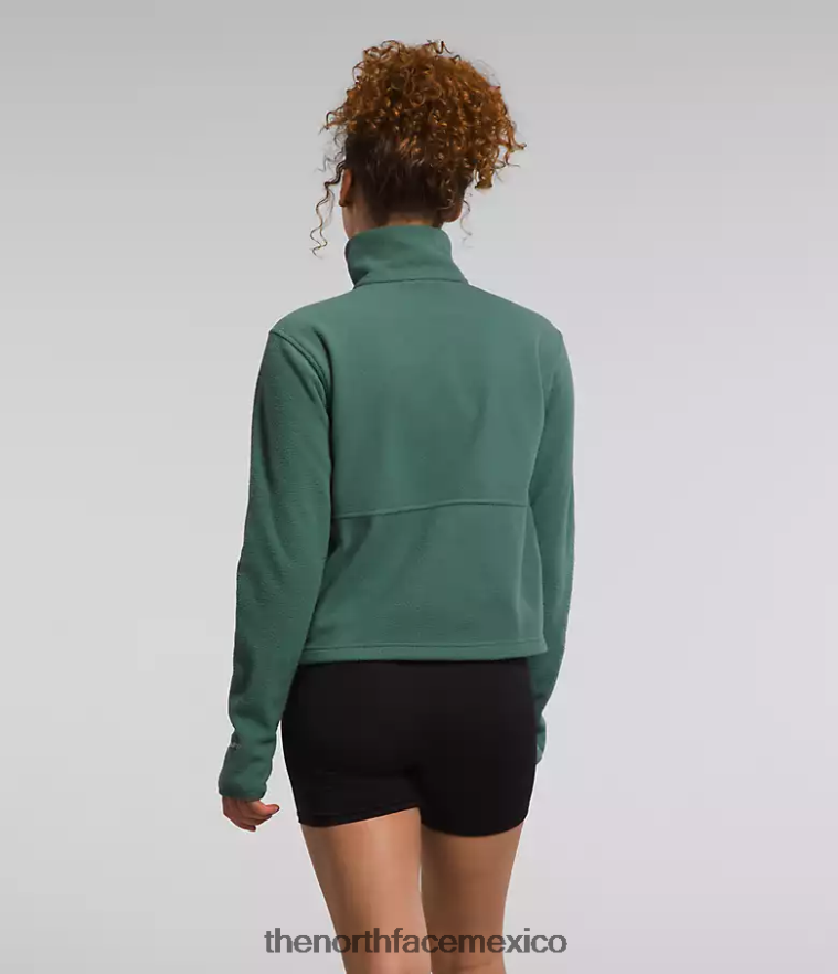 The North Face ropa NFHLJL157 sabio oscuro mujer Alpine Polartec 100 - capucha con cremallera - Image 3