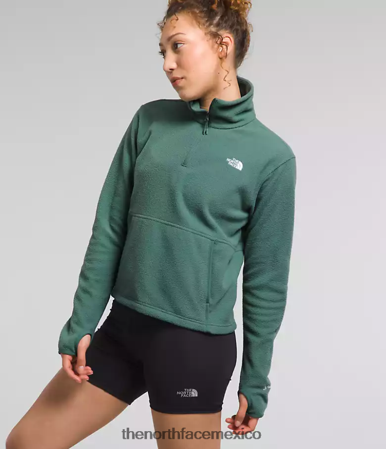 The North Face ropa NFHLJL157 sabio oscuro mujer Alpine Polartec 100 - capucha con cremallera - Image 4