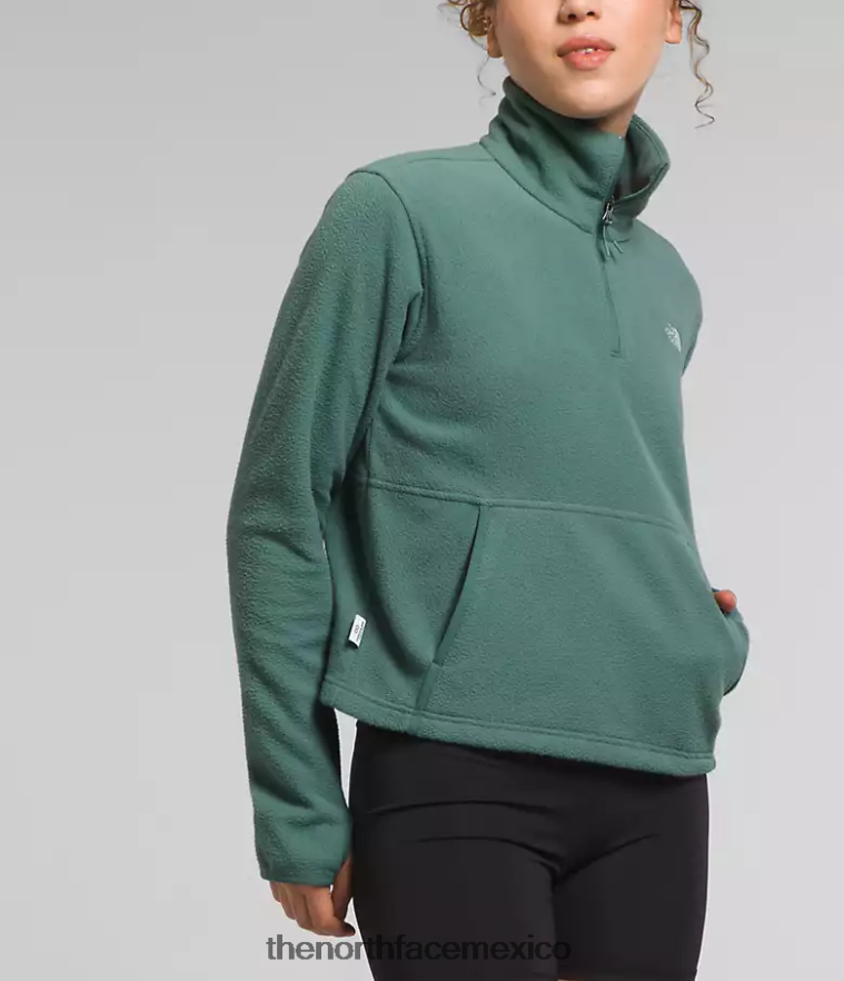 The North Face ropa NFHLJL157 sabio oscuro mujer Alpine Polartec 100 - capucha con cremallera - Image 5