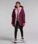 The North Face ropa NFHLJL178 arándano niños parka ártica