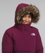 The North Face ropa NFHLJL178 arándano niños parka ártica - Image 4