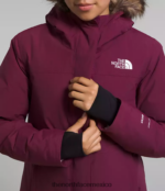 The North Face ropa NFHLJL178 arándano niños parka ártica - Image 6