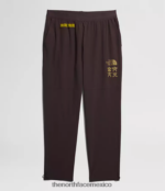 The North Face ropa NFHLJL216 marrón carbón hombres joggers trailwear okt - Image 7