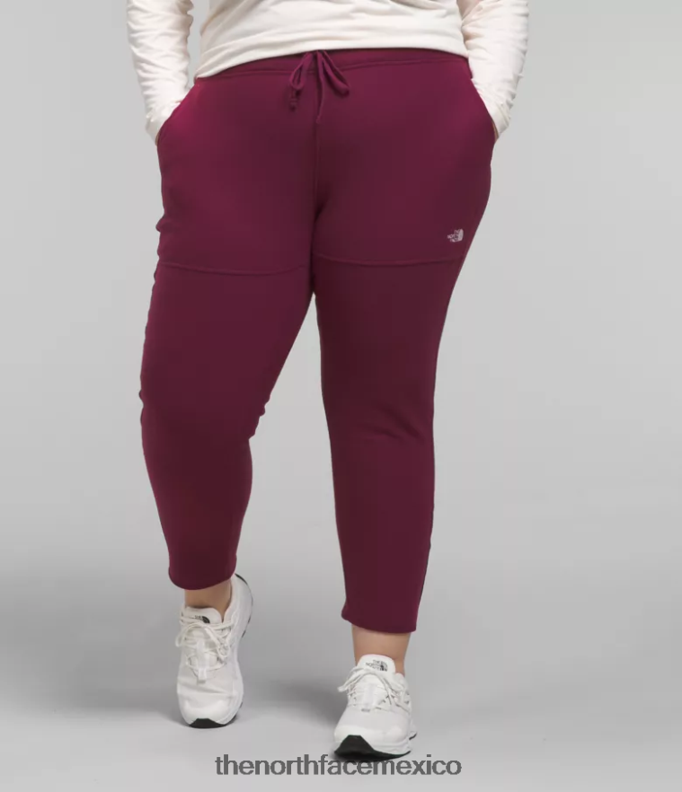 The North Face ropa NFHLJL251 arándano mujer más pantalones alpinos polartec 100 - Image 1