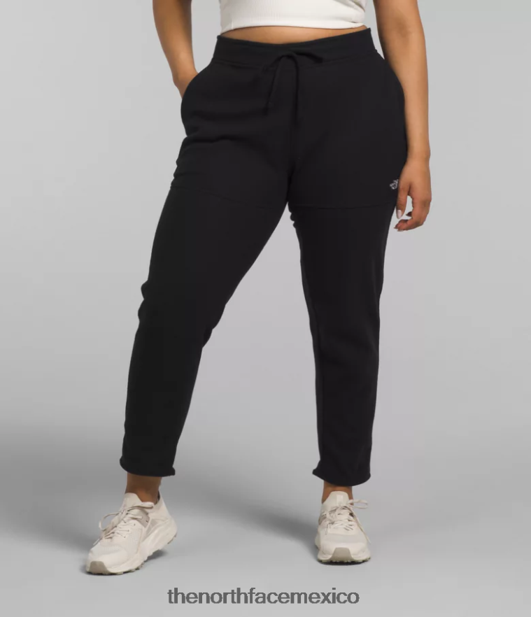 the_north_face_ropa_nfhljl252_negro_mujer_mas_pantalones_alpinos_polartec_100.png The North Face ropa NFHLJL252 negro mujer más pantalones alpinos polartec 100 - Image 1