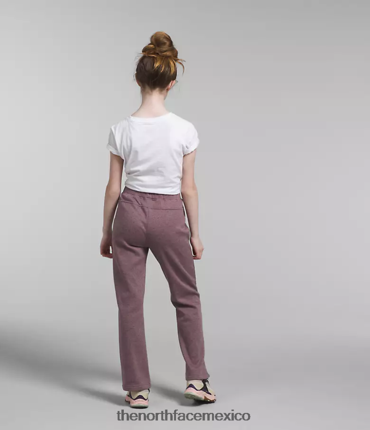 The North Face ropa NFHLJL267 brezo gris leonado niños pantalones anchos de polar de ensueño acogedor - Image 3