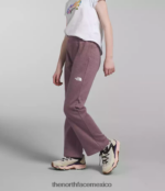 The North Face ropa NFHLJL267 brezo gris leonado niños pantalones anchos de polar de ensueño acogedor - Image 4
