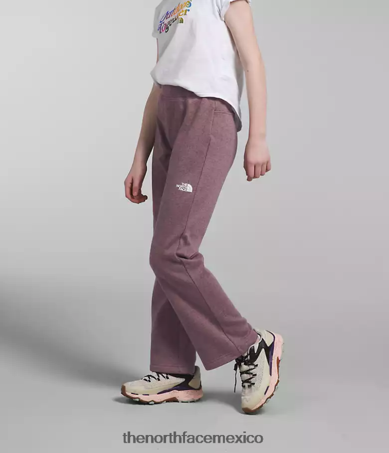 The North Face ropa NFHLJL267 brezo gris leonado niños pantalones anchos de polar de ensueño acogedor - Image 4