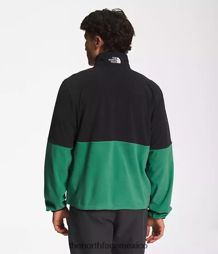 The North Face ropa NFHLJL305 verde hierba intenso hombres tnf polartec 100 -zip - Image 2