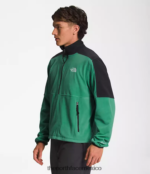 The North Face ropa NFHLJL305 verde hierba intenso hombres tnf polartec 100 -zip - Image 3