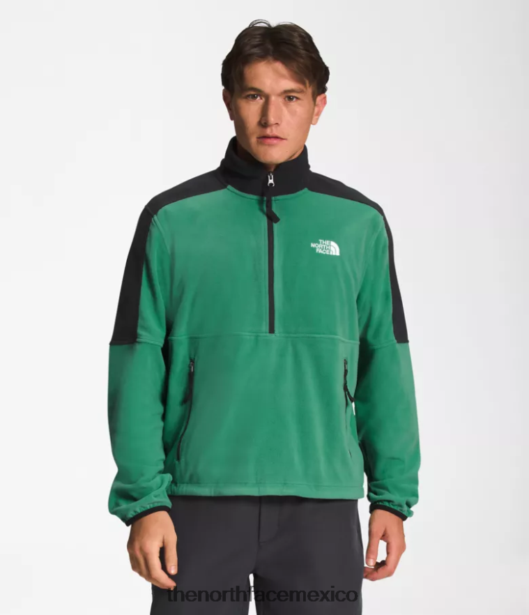 The North Face ropa NFHLJL305 verde hierba intenso hombres tnf polartec 100 -zip - Image 1
