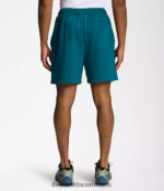 The North Face ropa NFHLJL362 corales azules hombres shorts de lana con logo sencillo - Image 2