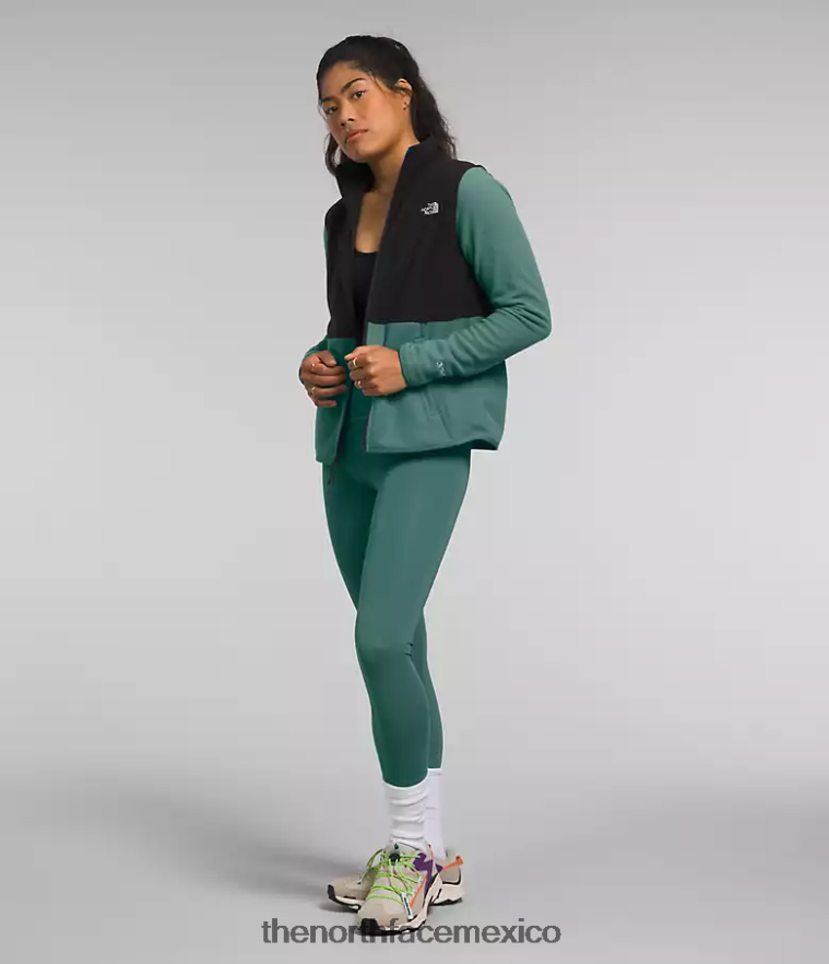 The North Face ropa NFHLJL443 salvia oscura/tnf negro mujer chaqueta alpina polartec 100 - Image 3