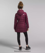 The North Face ropa NFHLJL459 arándano niños parka termobola - Image 2