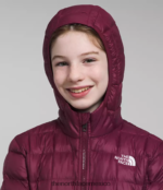 The North Face ropa NFHLJL459 arándano niños parka termobola - Image 4