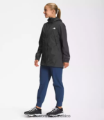 The North Face ropa NFHLJL45 gris asfalto mujer parka anora - Image 2
