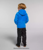 The North Face ropa NFHLJL465 azul optico niños Forrest sudadera con capucha y cierre completo - Image 3