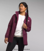 The North Face ropa NFHLJL46 arándano mujer Antora Parka