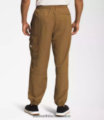 The North Face ropa NFHLJL493 marrón utilitario hombres pantalones fáciles de nailon tnf - Image 2