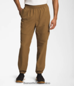 The North Face ropa NFHLJL493 marrón utilitario hombres pantalones fáciles de nailon tnf