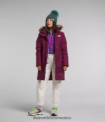 The North Face ropa NFHLJL509 arándano mujer parka ártica - Image 2