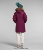 The North Face ropa NFHLJL509 arándano mujer parka ártica - Image 3