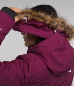 The North Face ropa NFHLJL509 arándano mujer parka ártica - Image 6