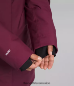 The North Face ropa NFHLJL509 arándano mujer parka ártica - Image 7