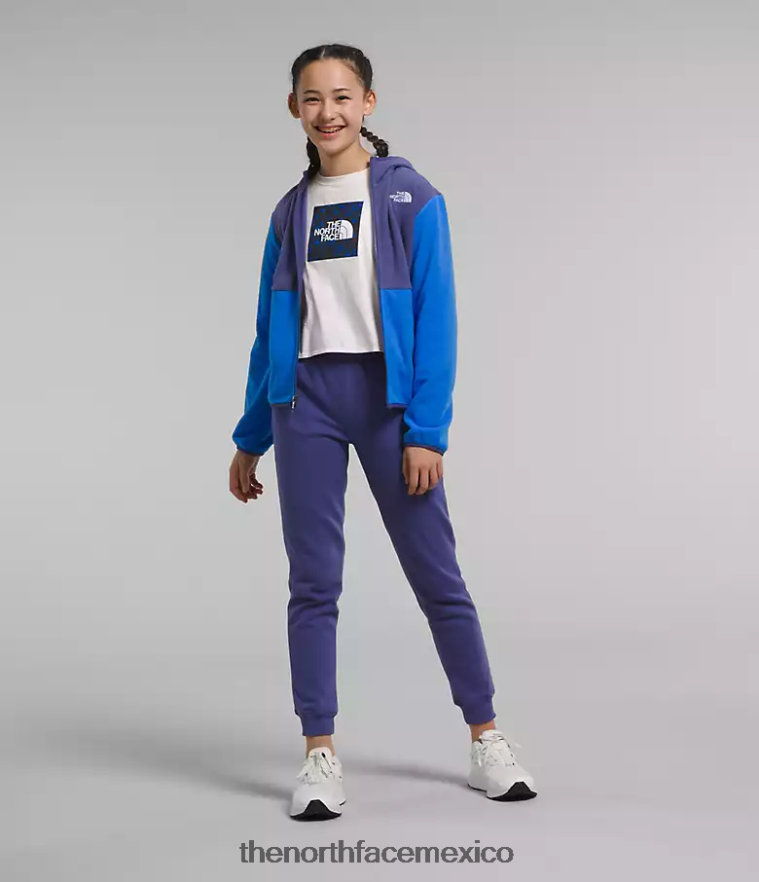 The North Face ropa NFHLJL521 azul optico niños chaqueta con capucha y cierre completo Glacier - Image 2